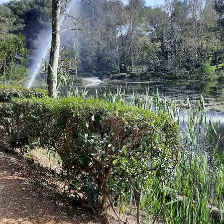 Domaine Et Appartement